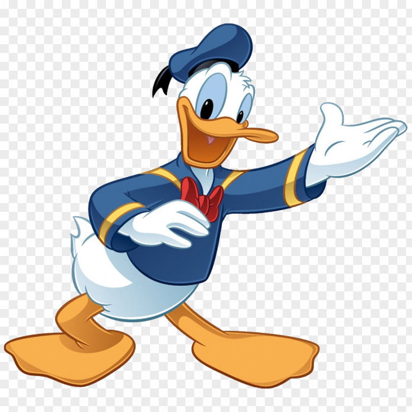 Donald Duck Mickey Mouse Daisy The Walt Disney Company Huey, Dewey And Louie PNG