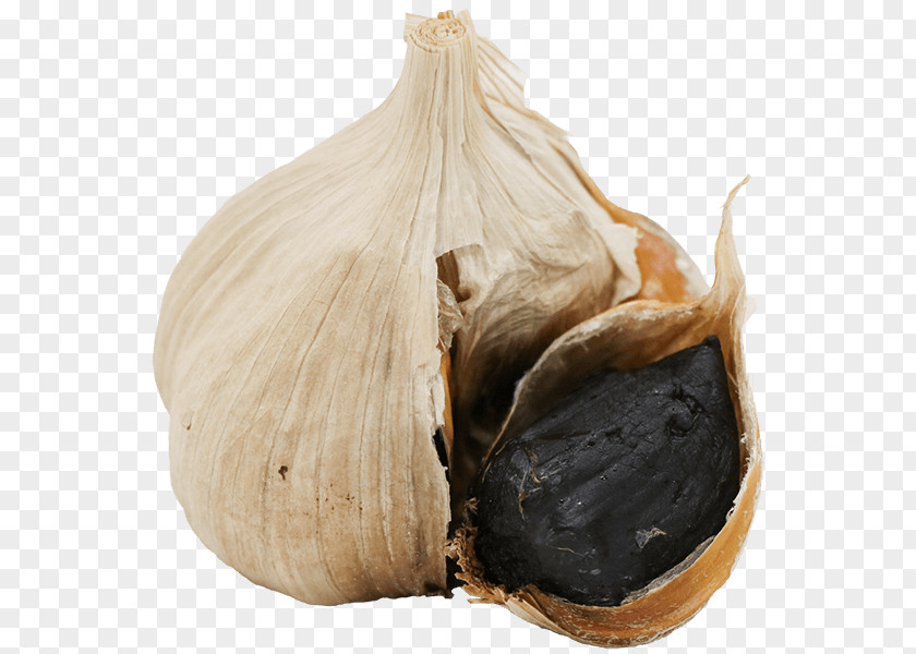 Garlic Elephant （株）ＴＡＫＫＯ商事 Bread Ajoene PNG