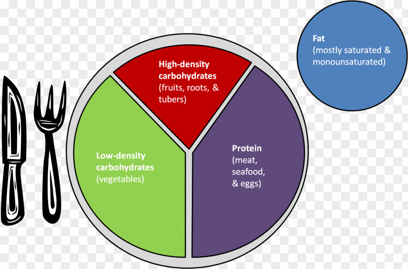 Health Low-carbohydrate Diet MyPlate Atkins South Beach PNG