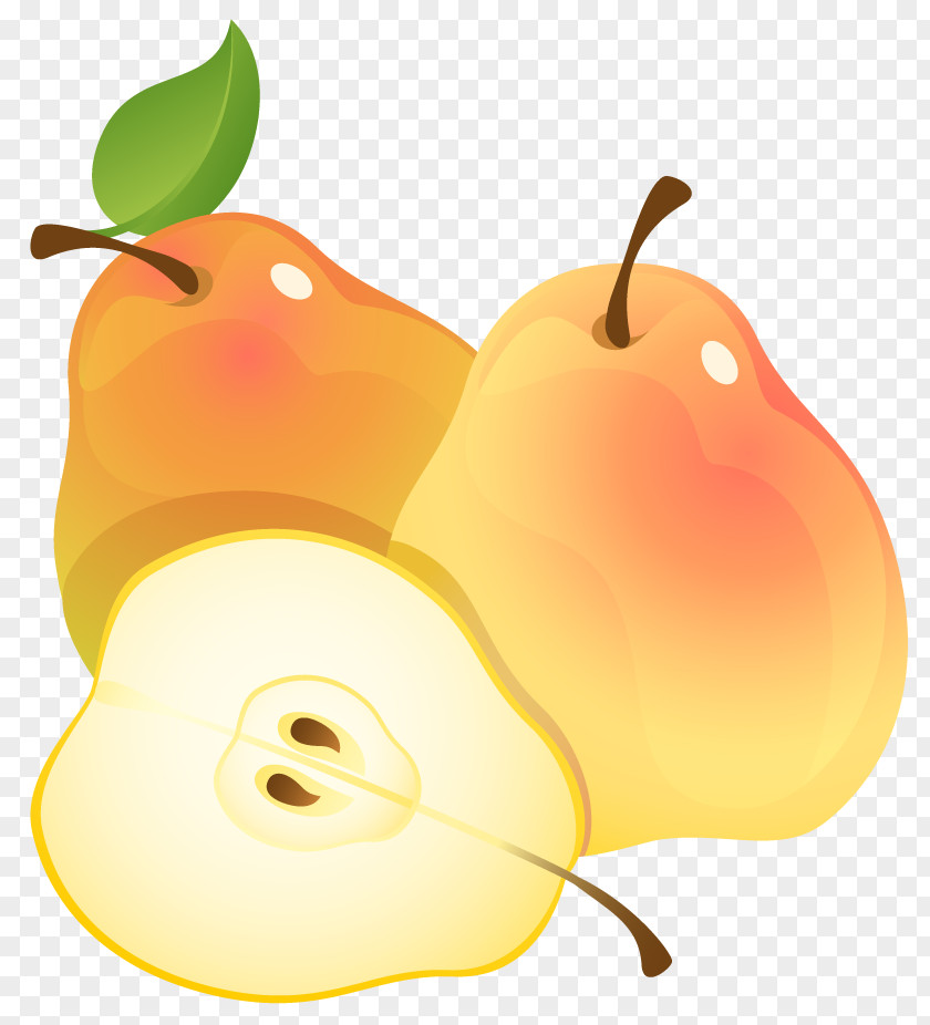 Large Painted Pears Clipart Pear Fruit Clip Art PNG
