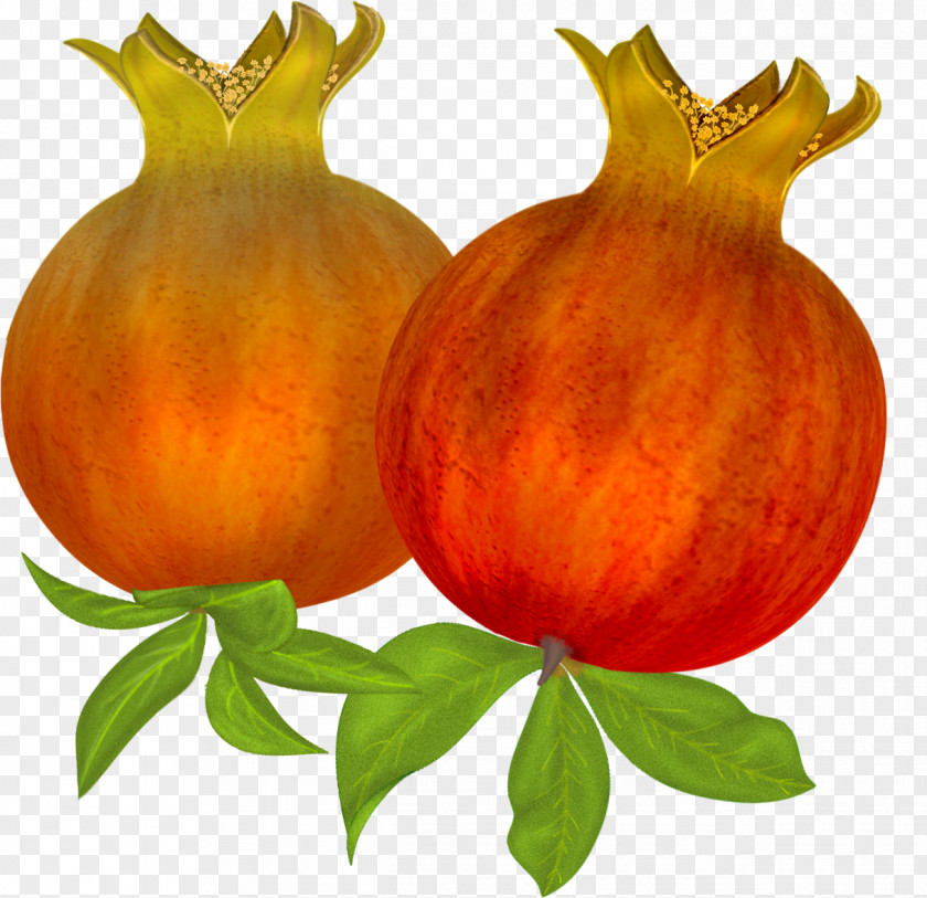 Pomegranate Calabaza Auglis PNG