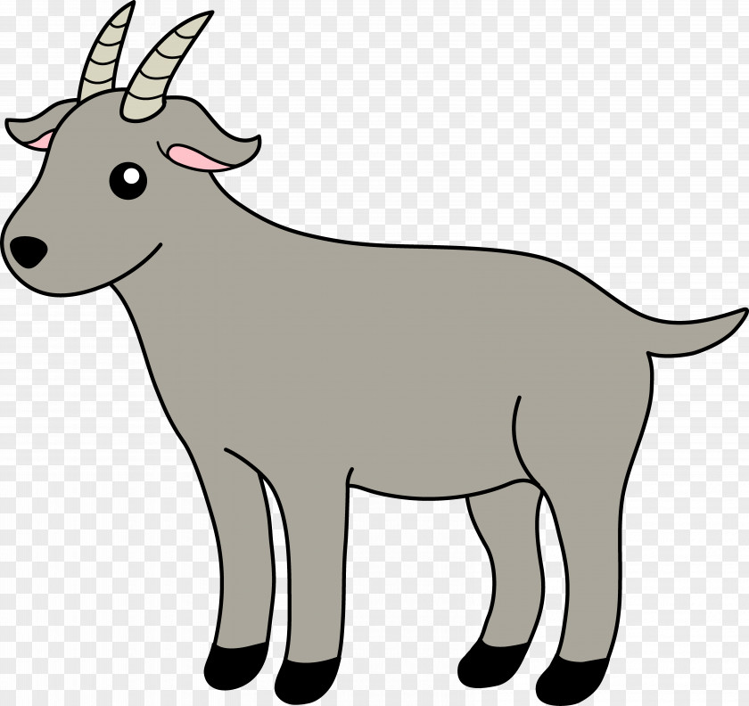 Cliparts Baby Goat Anglo-Nubian Boer Free Content Clip Art PNG
