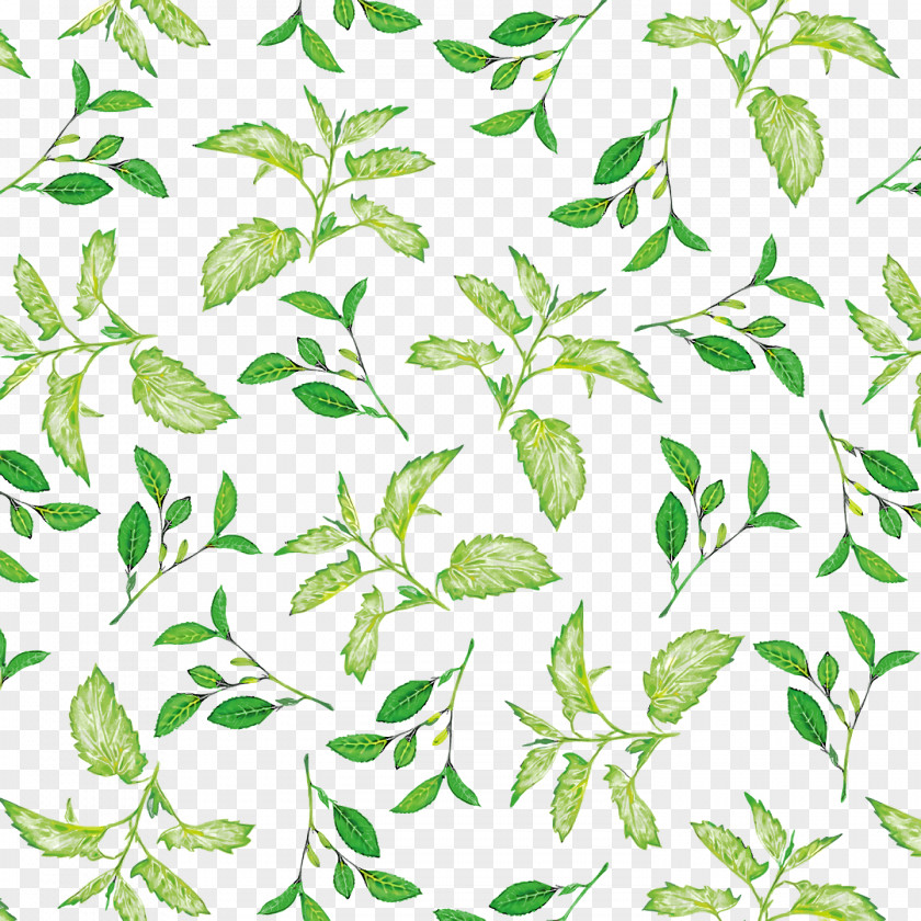 Plant Stem Leaf Flower Green Pattern PNG
