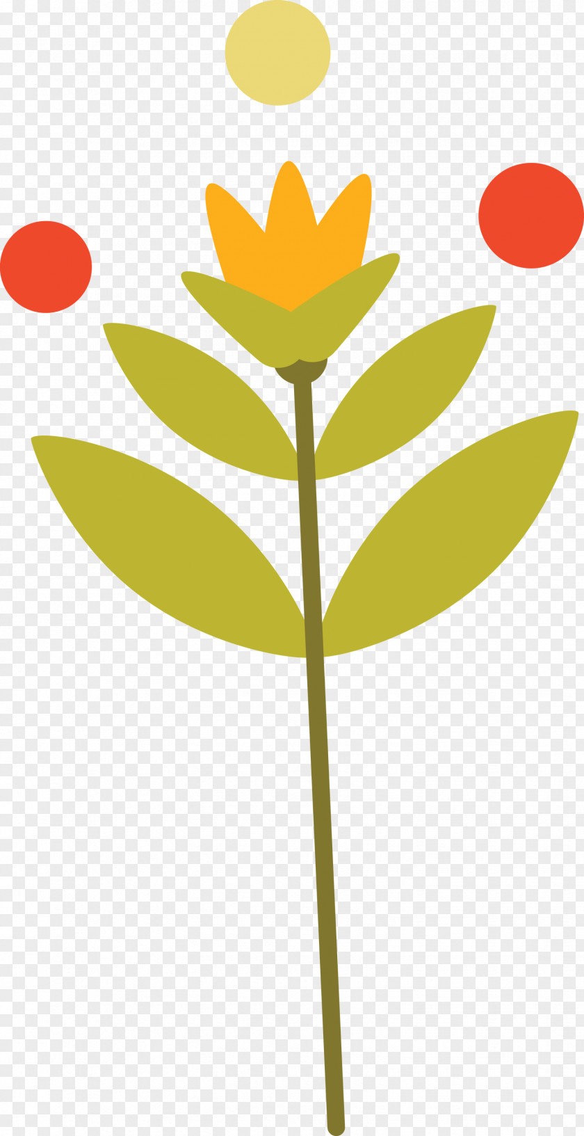 Plant Stem Petal Leaf Yellow M-tree PNG