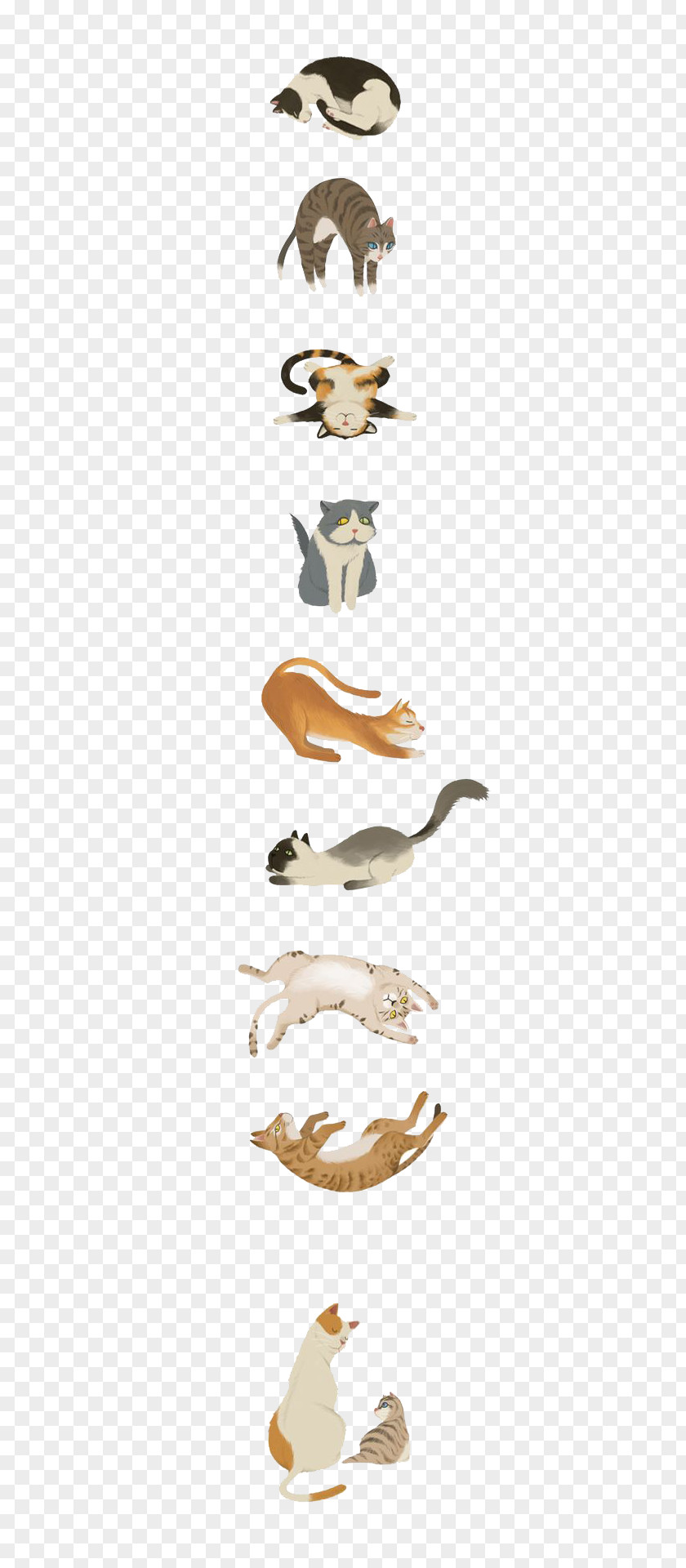 Various Gray Kitten Ragdoll Black Cat Meow Illustration PNG