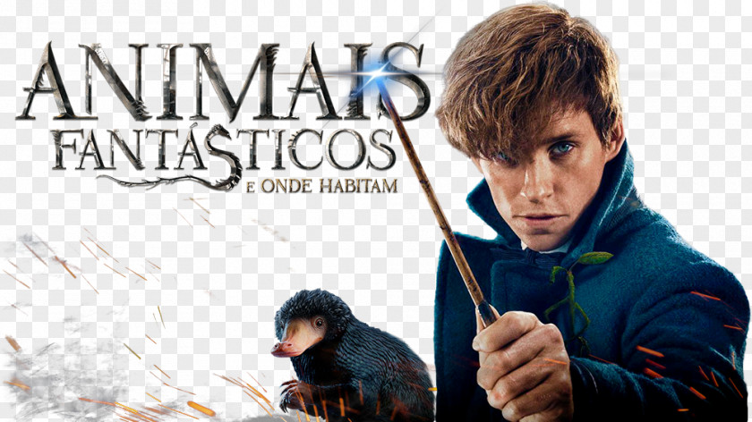 Fantastic Beasts And Where To Find Them Film Series Blu-ray Disc Ultra HD PNG