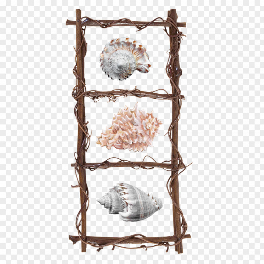 Ladder Picture Frames Wood Photography Clip Art PNG