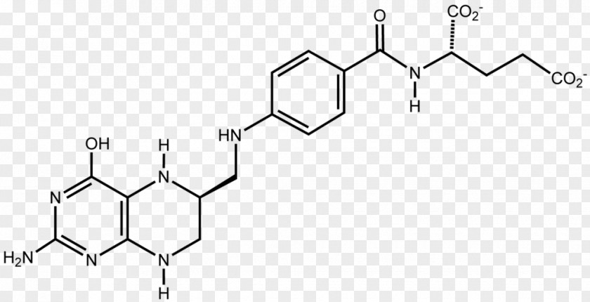 Levofloxacin Ciprofloxacin Pharmaceutical Drug Enzyme PNG