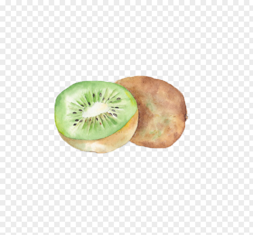 Painting Kiwi Kiwifruit Watercolor PNG