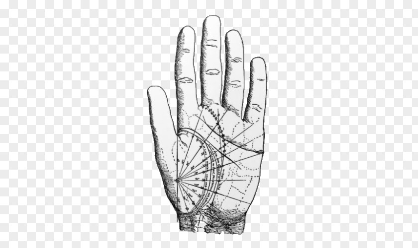 Palmistry Hindu Astrology Vedic Period Zodiac PNG