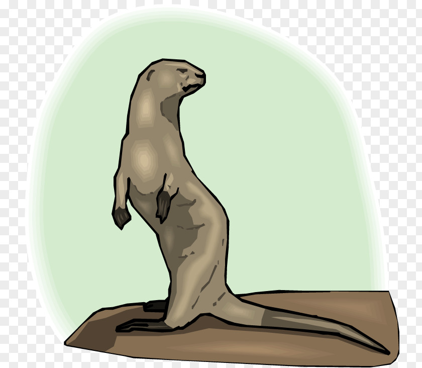 Pictures Of Bears Standing Up Sea Lion Pinniped Animal PNG