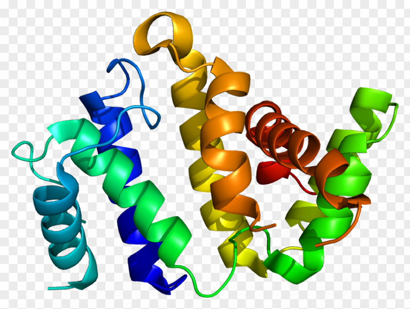 Rho-associated Protein Kinase ARHGAP26 Gene PyMOL PNG