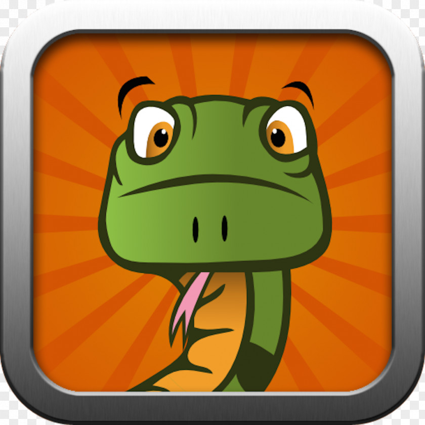 Snake Cartoon Tree Frog Reptile PNG