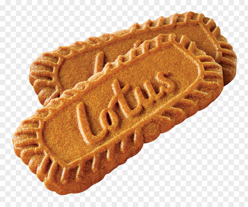 Biscuit Speculaas Biscotti Bakery Cookie PNG