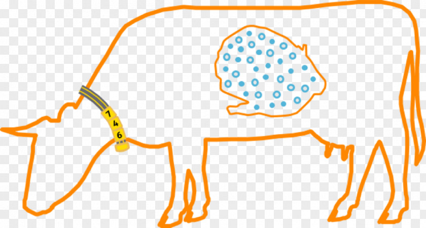 Dairy Cattle Rumen Animal Microorganism PNG