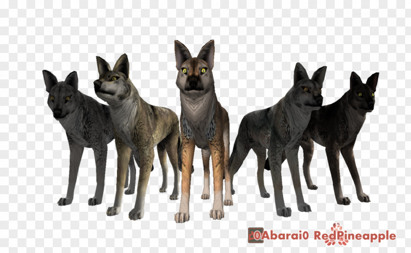Do The Old Texture WolfQuest Gray Wolf Video Game World Of Warcraft PNG