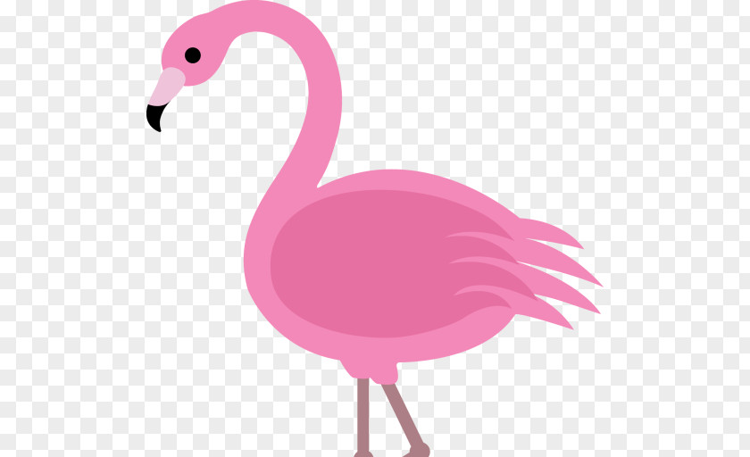 Flamingo Plastic Drawing Clip Art PNG