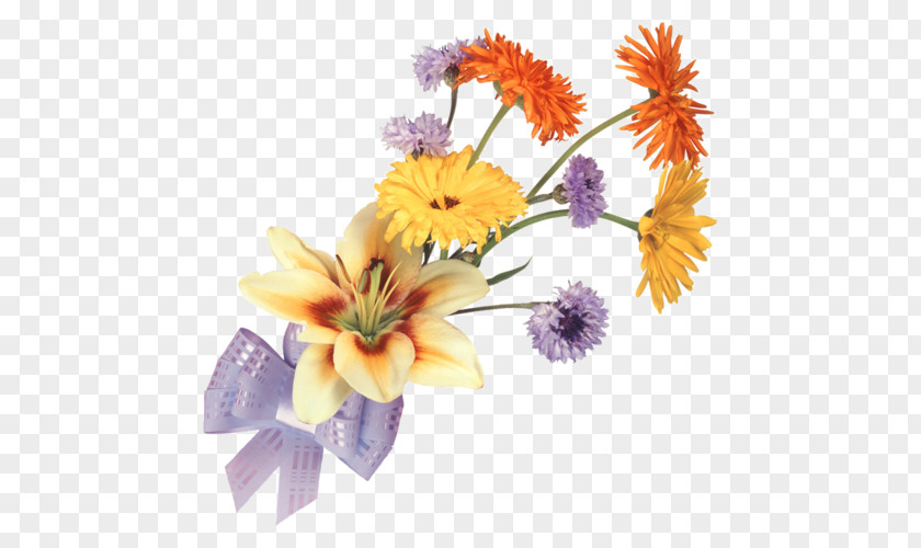 Flower Cut Flowers Information Clip Art PNG