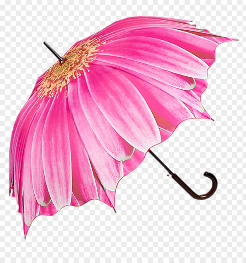 Flowers Umbrella Cover Museum Clothing Accessories Rain Blume PNG