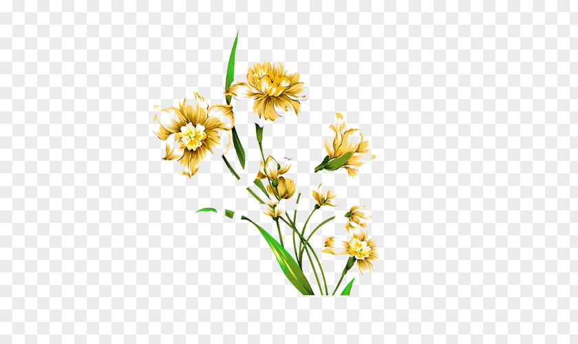 Hand Painted Yellow Wildflower With Green Leaves Narcissus Tazetta Watercolor Painting Flower Drawing PNG