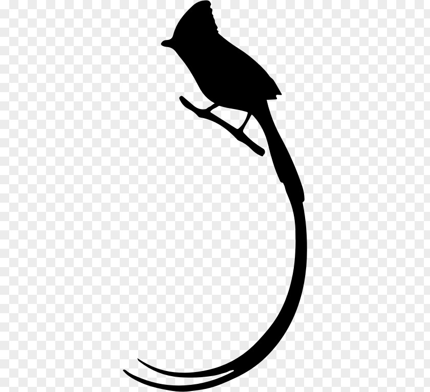 Bird Long Tail Silhouette Clip Art PNG