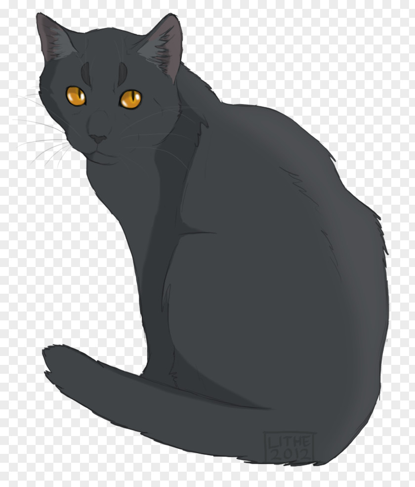 Cat Cats Of The Clans Warriors Erin Hunter ThunderClan PNG