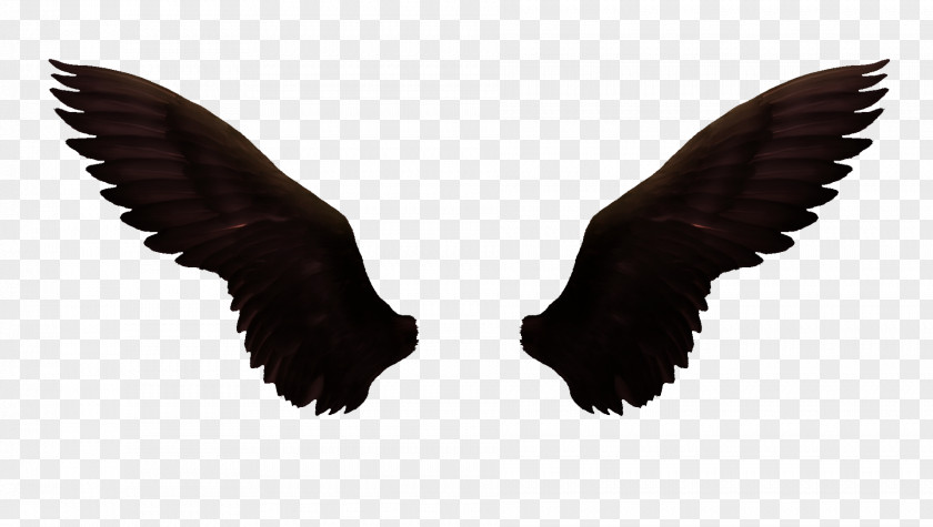 Dark Wings Icon PNG