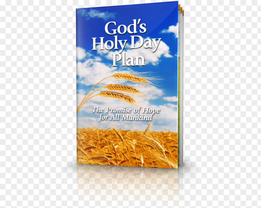 Feast Of The Holy Spirit God's Day Plan: Promise Hope For All Mankind Bible United Church God Christianity PNG