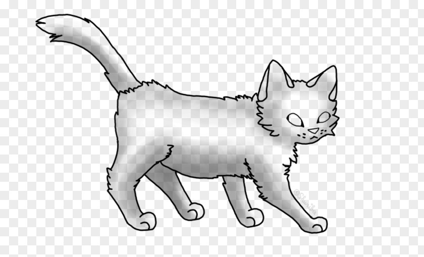 Kitten Line Art Drawing Whiskers PNG