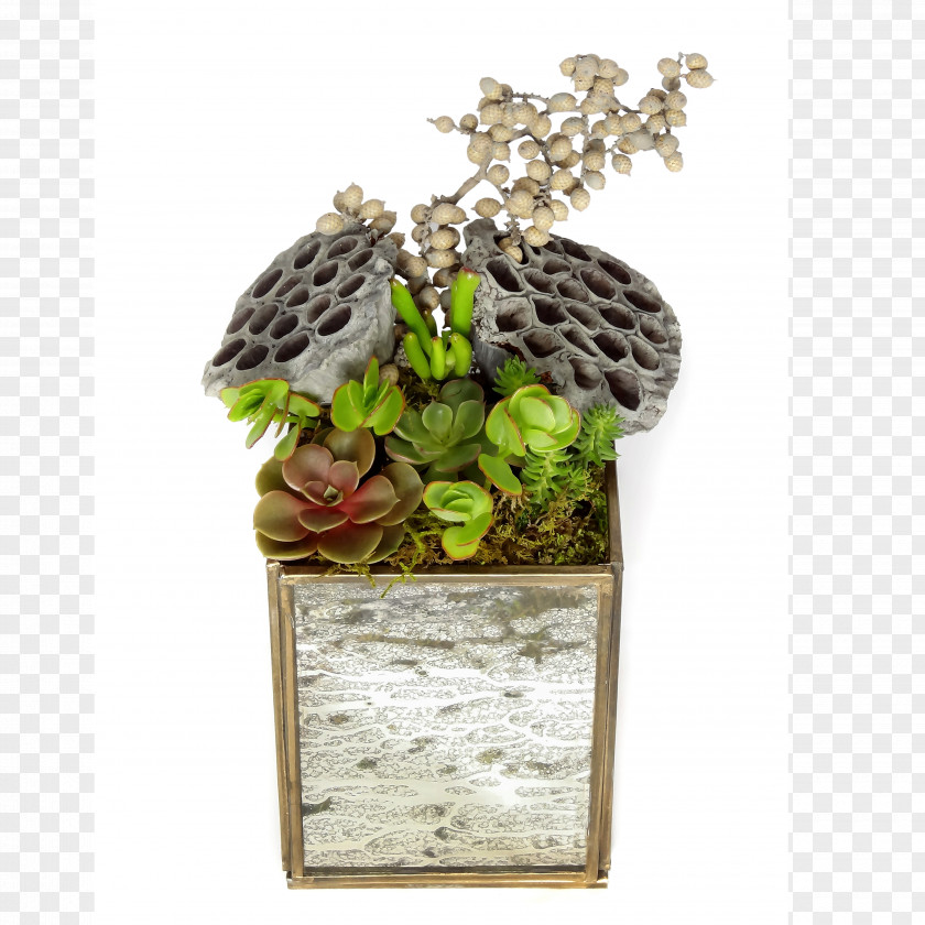 Luludi Living Art Houseplant Succulent Plant Lantern Glass PNG