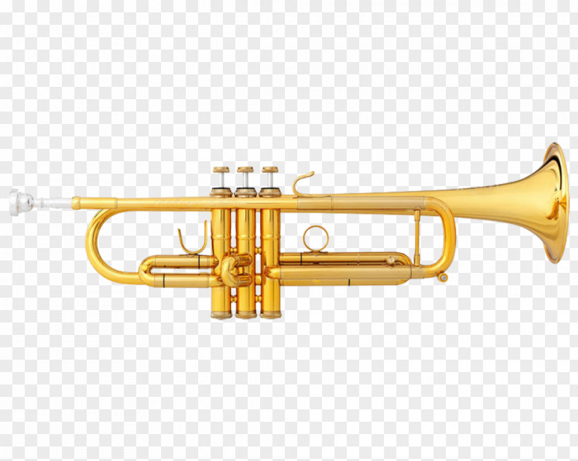 Trumpet Pocket Brass Instruments Trombone Musical PNG