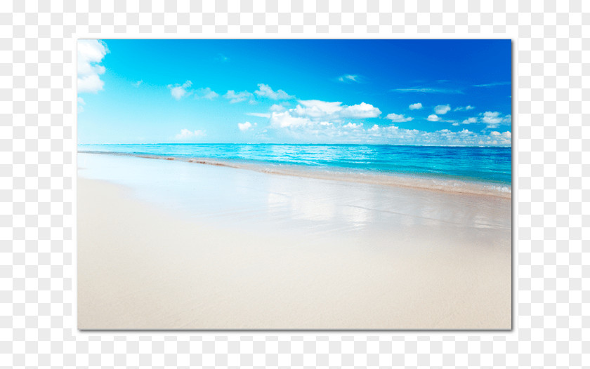 Beach Caribbean Shore Turquoise Sky Plc PNG