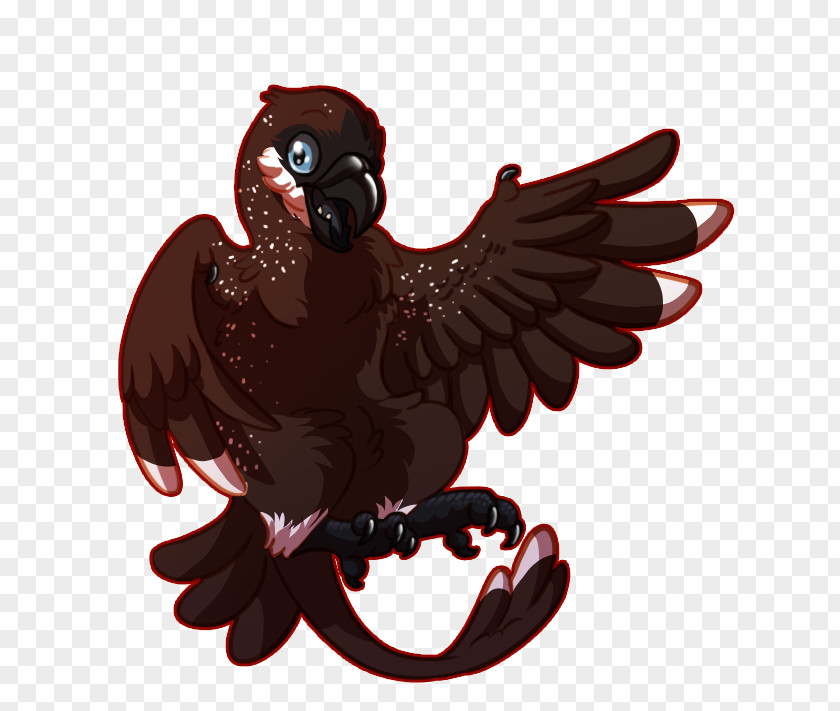 Bird Of Prey Beak Chicken As Food PNG