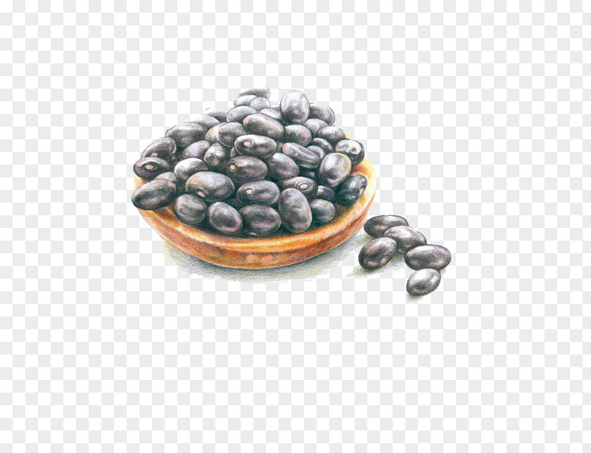 Black Beans Blueberry Illustration PNG