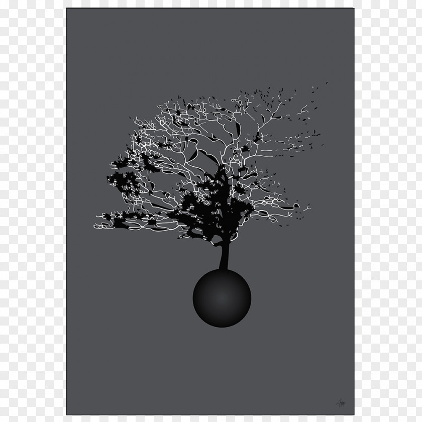 Black Poster Color White PNG
