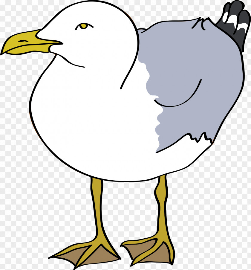 Cartoon Seagull Gulls Bird European Herring Gull Clip Art PNG