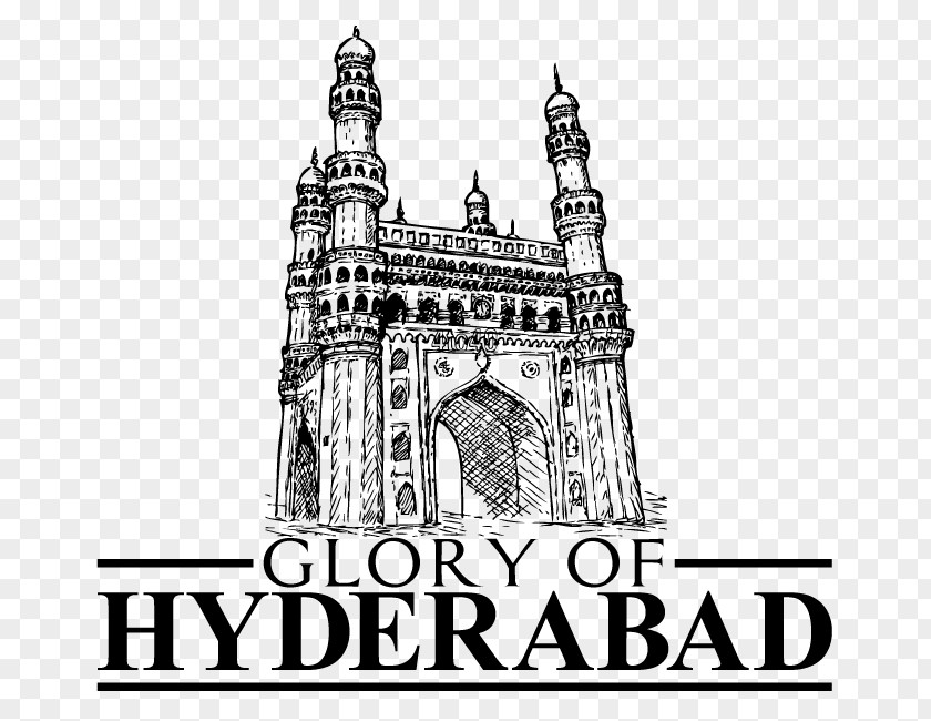 Hyderabad Osmania University TEDxHyderabad Global Shapers 2017 TED PNG