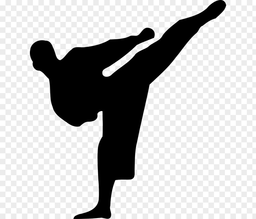 Kickblackandwhite Karate Silhouette Martial Arts Clip Art PNG