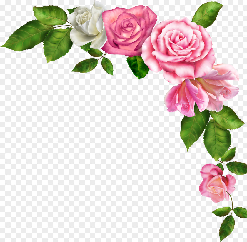 Watercolor Flower Borders And Frames Pink Flowers Clip Art PNG