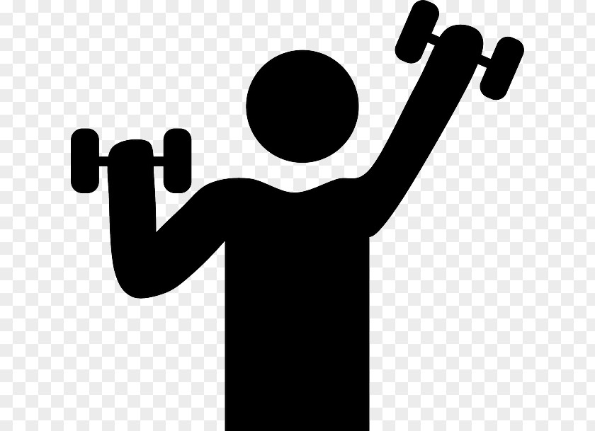 Workout Exercise Physical Fitness Centre Clip Art PNG