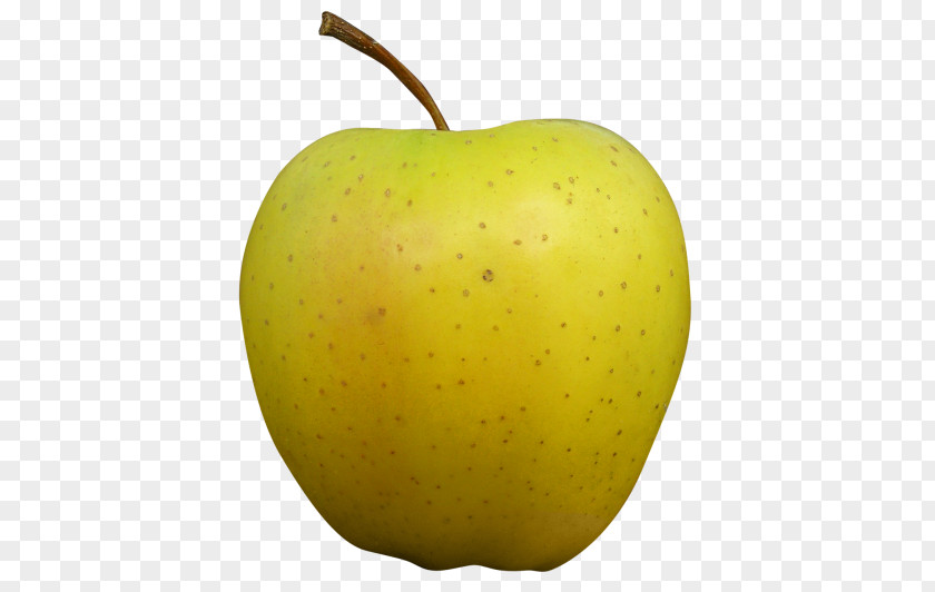 Apple X Golden Delicious Gala Red PNG