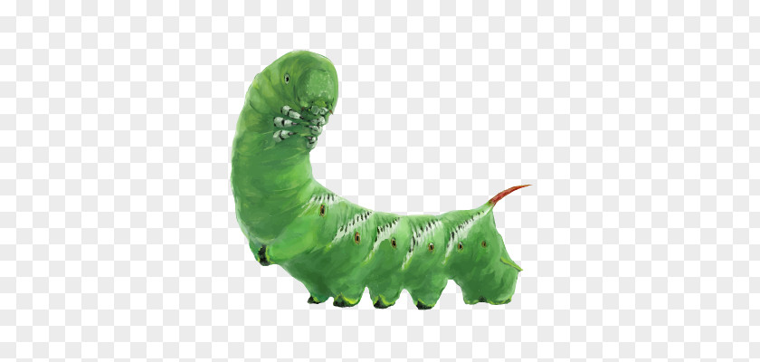 Caterpillar PNG clipart PNG