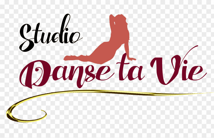 Contour Studio Danse Ta Vie Pole Dance Choreography Burlesque PNG