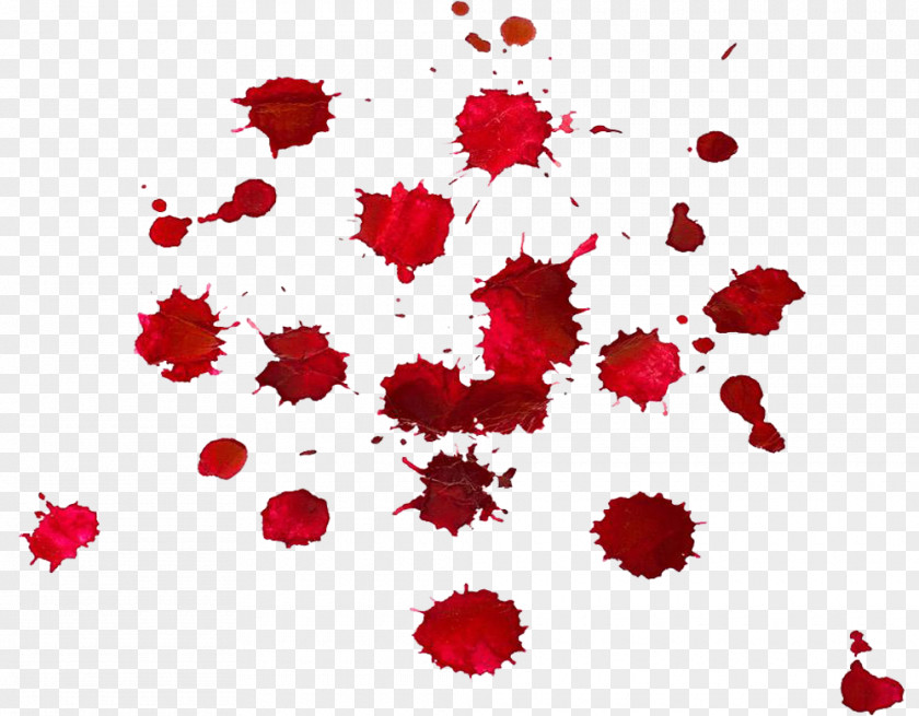 Drops Of Blood Drop Red PNG
