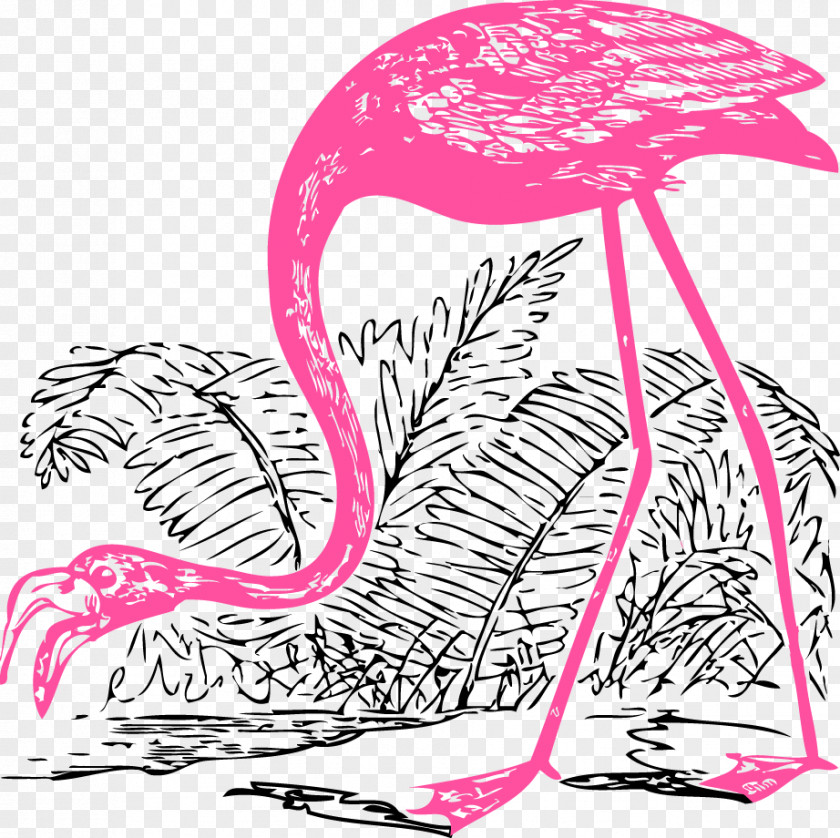 Vector Swan Bird Flamingo Illustration PNG