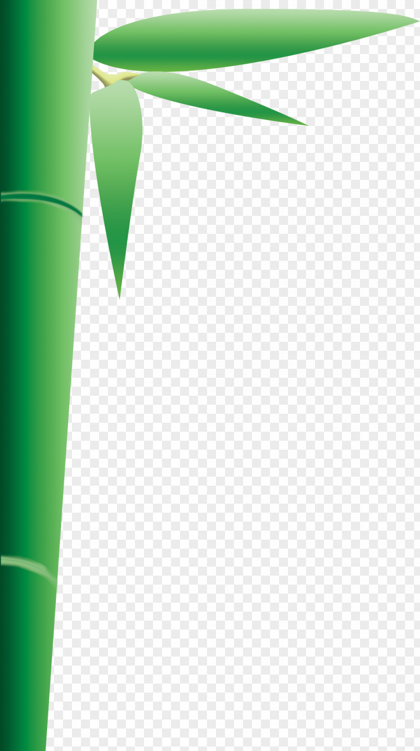 Bamboo Graphic Design Green Pattern PNG