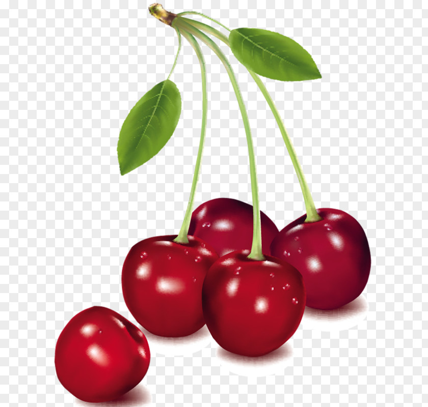Berries Cherry Pie Clip Art Cherries Fruit Vector Graphics PNG
