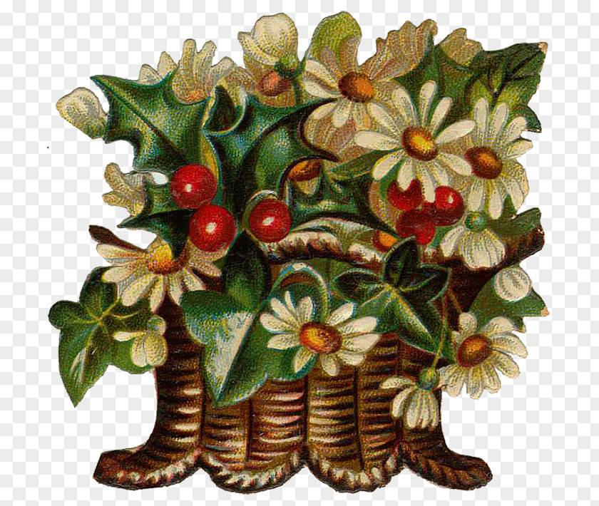 Design Floral Flowerpot Flowering Plant Fruit PNG