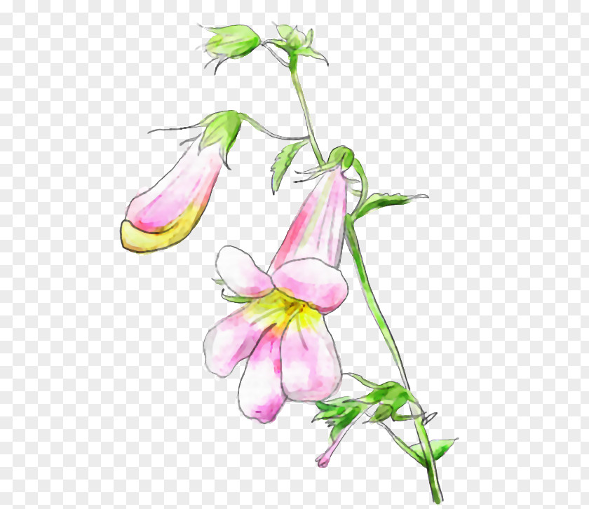 Flower Desktop Wallpaper Floral Design Drawing PNG