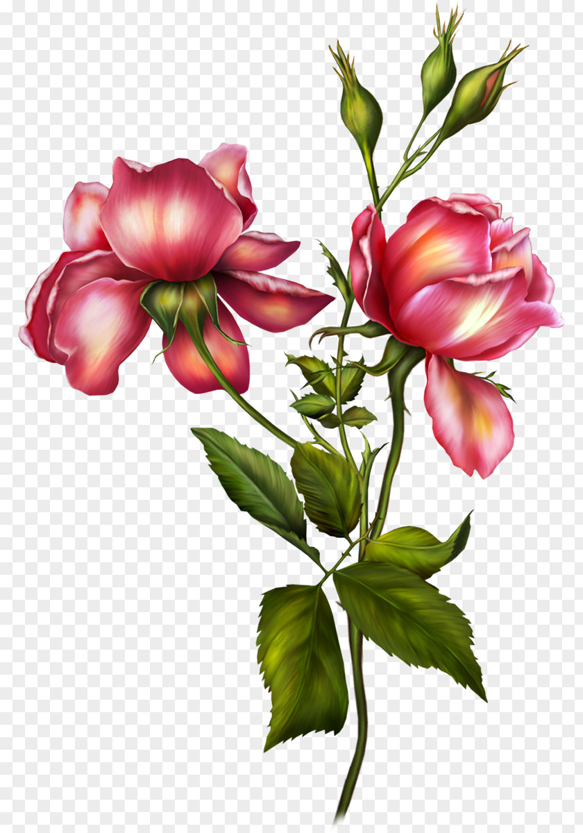 Mary Flower Garden Roses Clip Art PNG